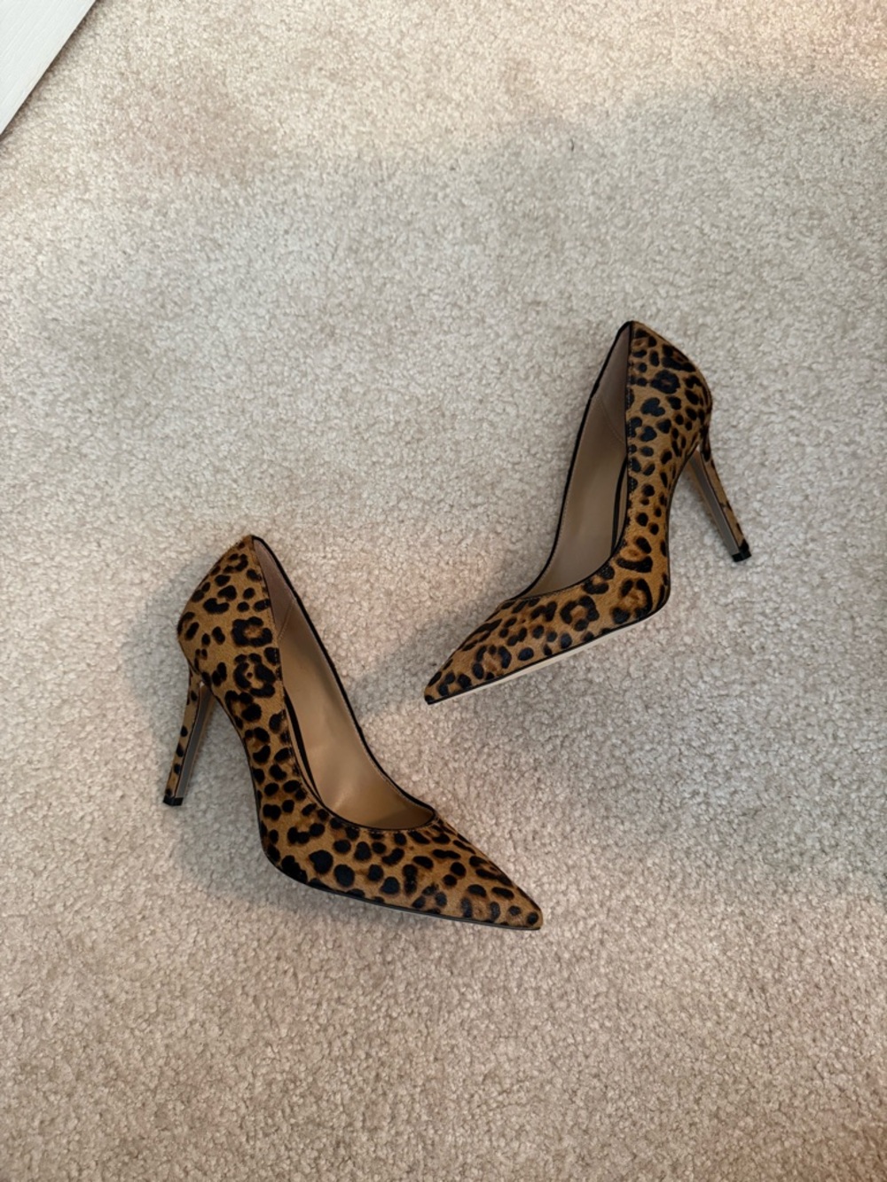 NWOB Sam Edelman Leopard Print Pointed Toe Stilettos - Brown/Black - Picture 5 of 9